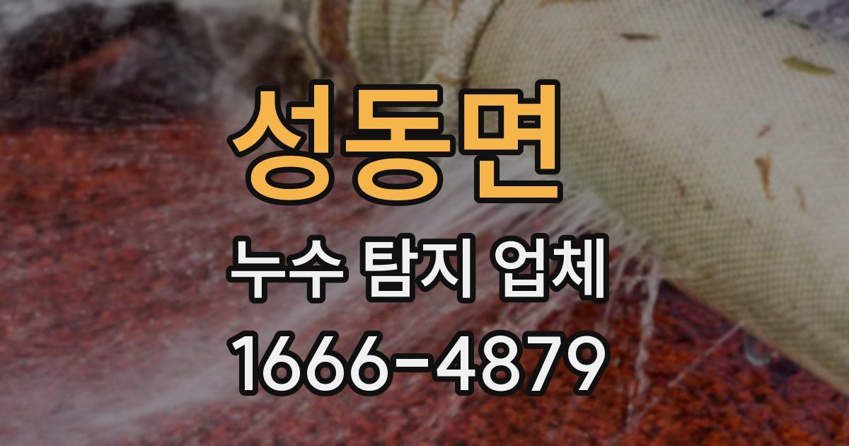 성동면 누수 탐지 업체