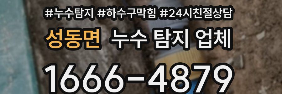 성동면 누수 탐지 업체