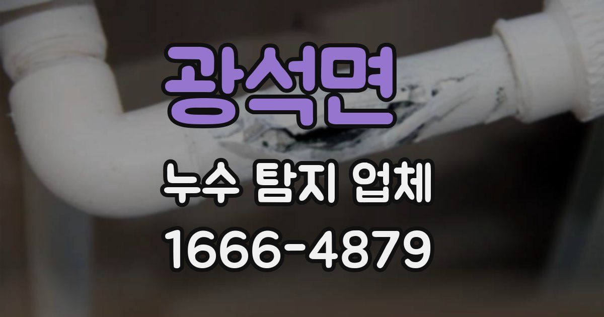 광석면 누수 탐지 업체
