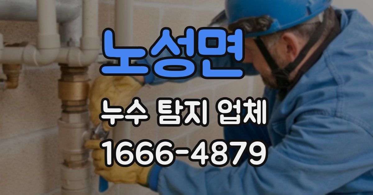 노성면 누수 탐지 업체