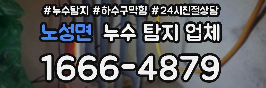 노성면 누수 탐지 업체