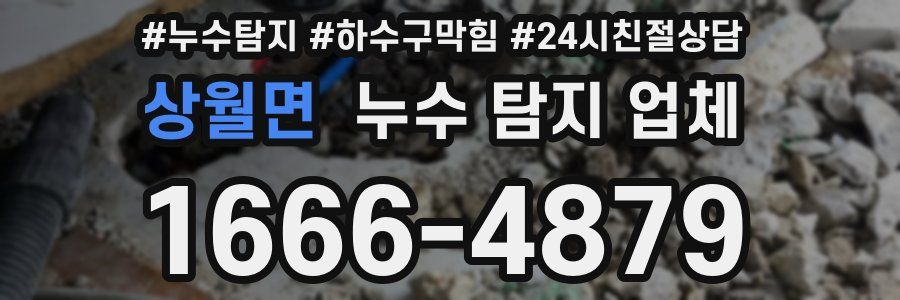 상월면 누수 탐지 업체