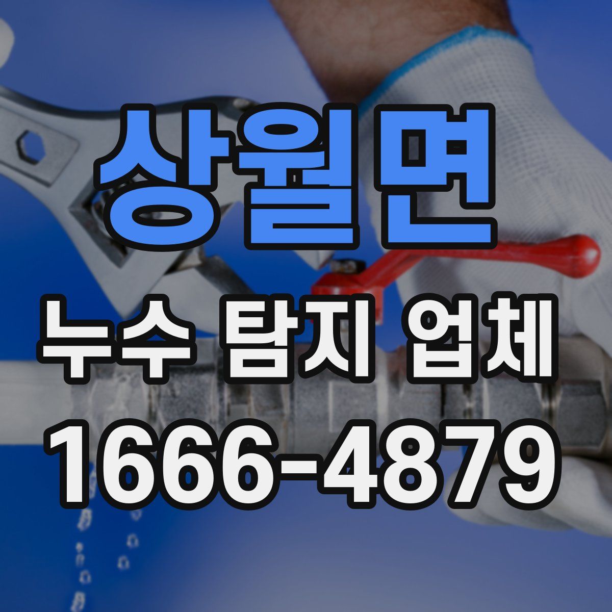 상월면 누수 탐지 업체