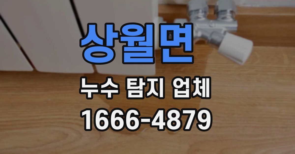 상월면 누수 탐지 업체