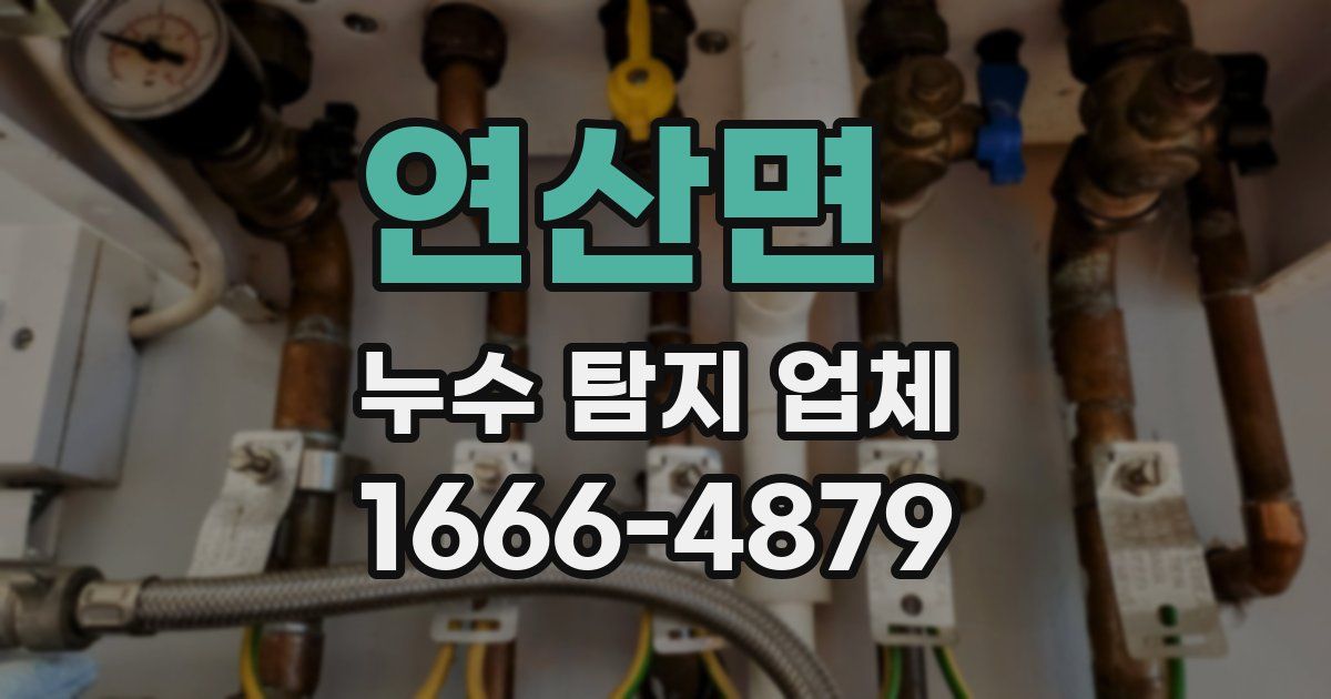 연산면 누수 탐지 업체