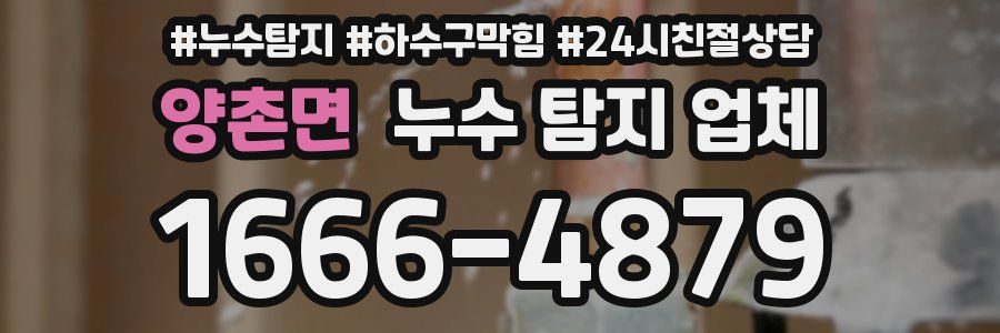 양촌면 누수 탐지 업체