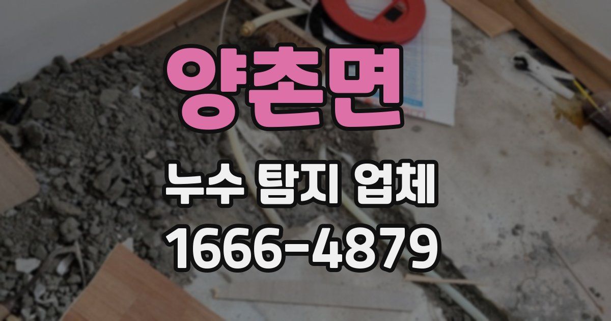 양촌면 누수 탐지 업체