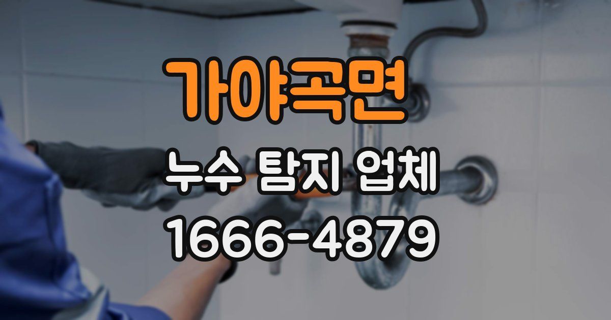가야곡면 누수 탐지 업체