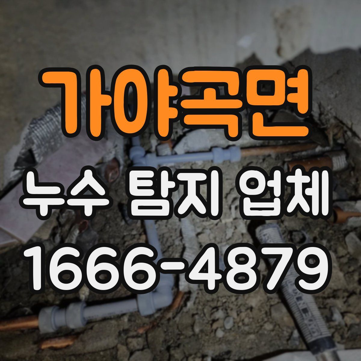 가야곡면 누수 탐지 업체