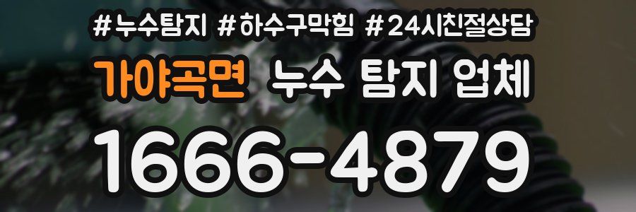 가야곡면 누수 탐지 업체