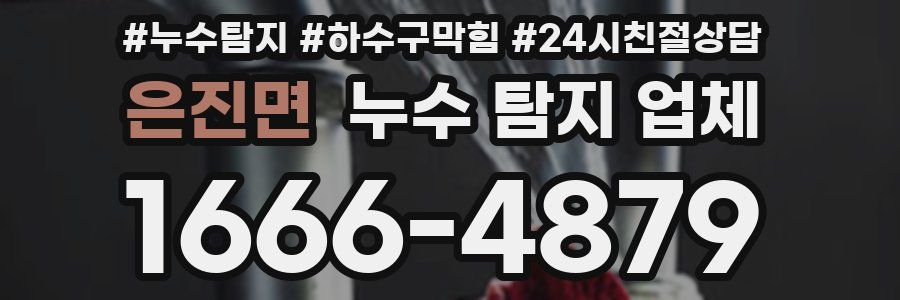 은진면 누수 탐지 업체