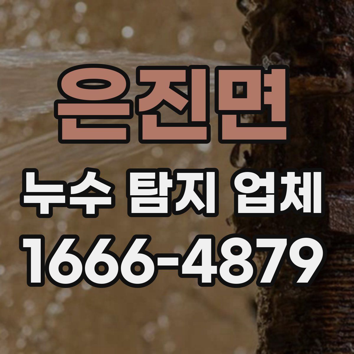 은진면 누수 탐지 업체