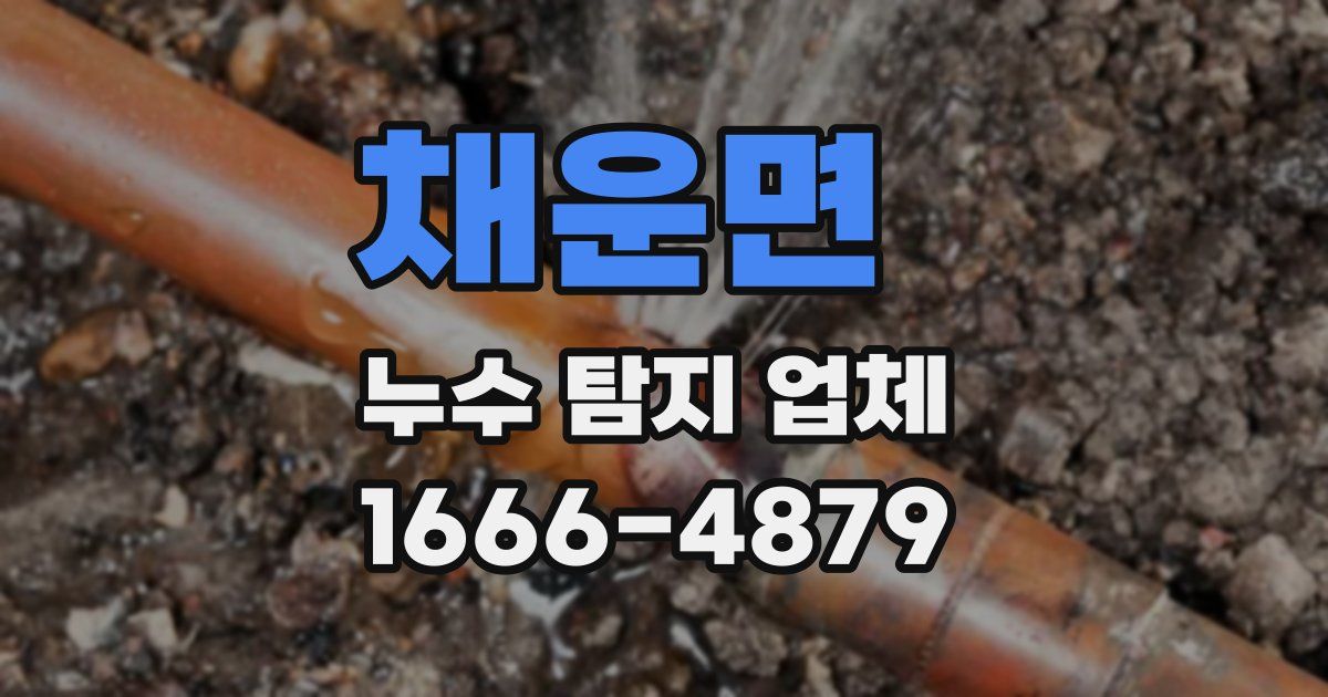 채운면 누수 탐지 업체
