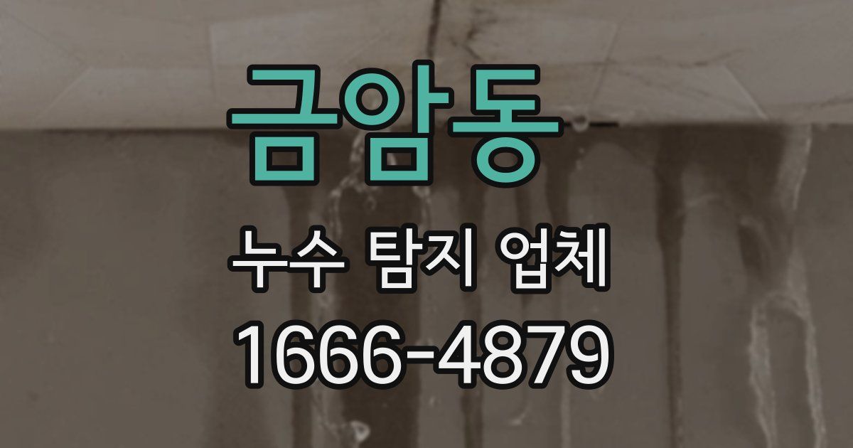 금암동 누수 탐지 업체