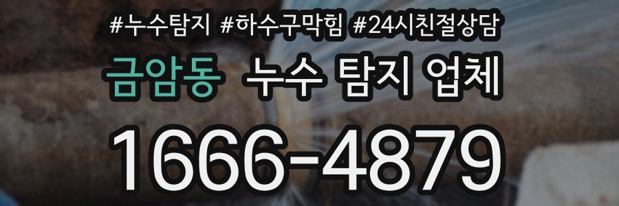 금암동 누수 탐지 업체