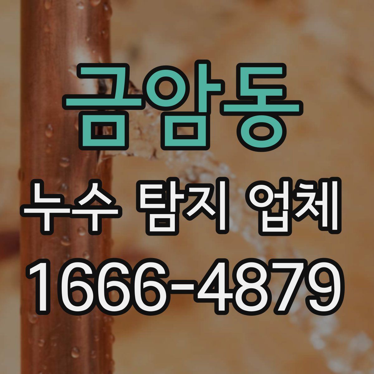 금암동 누수 탐지 업체