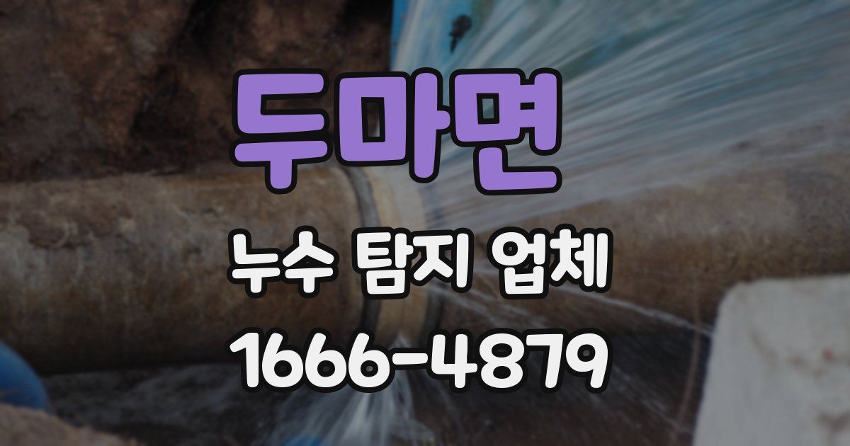 두마면 누수 탐지 업체