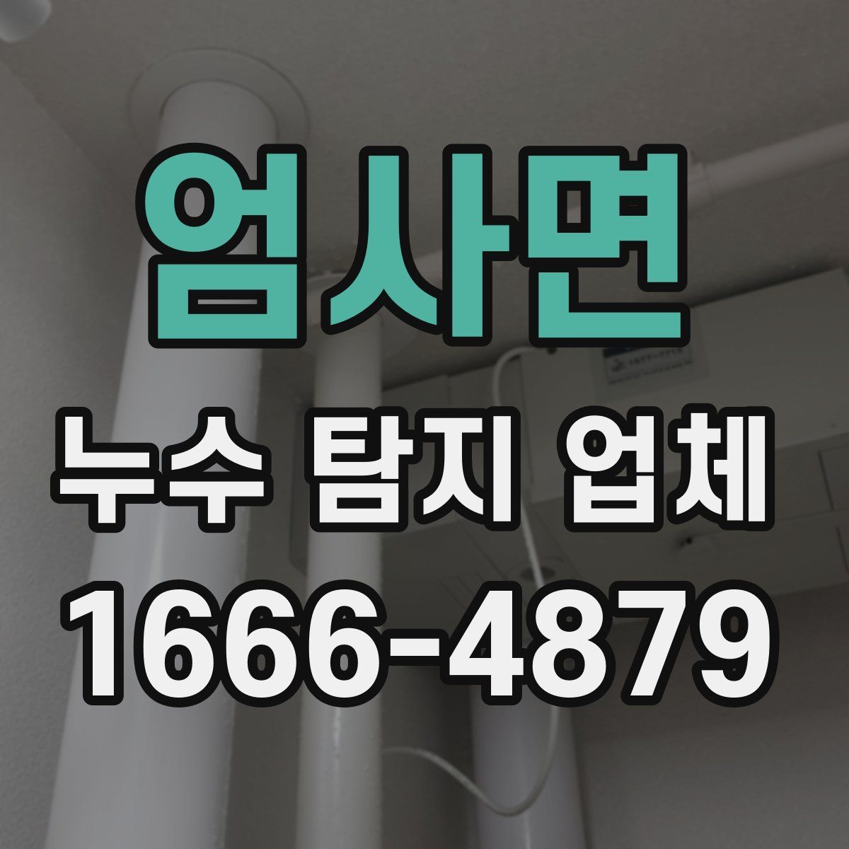 엄사면 누수 탐지 업체