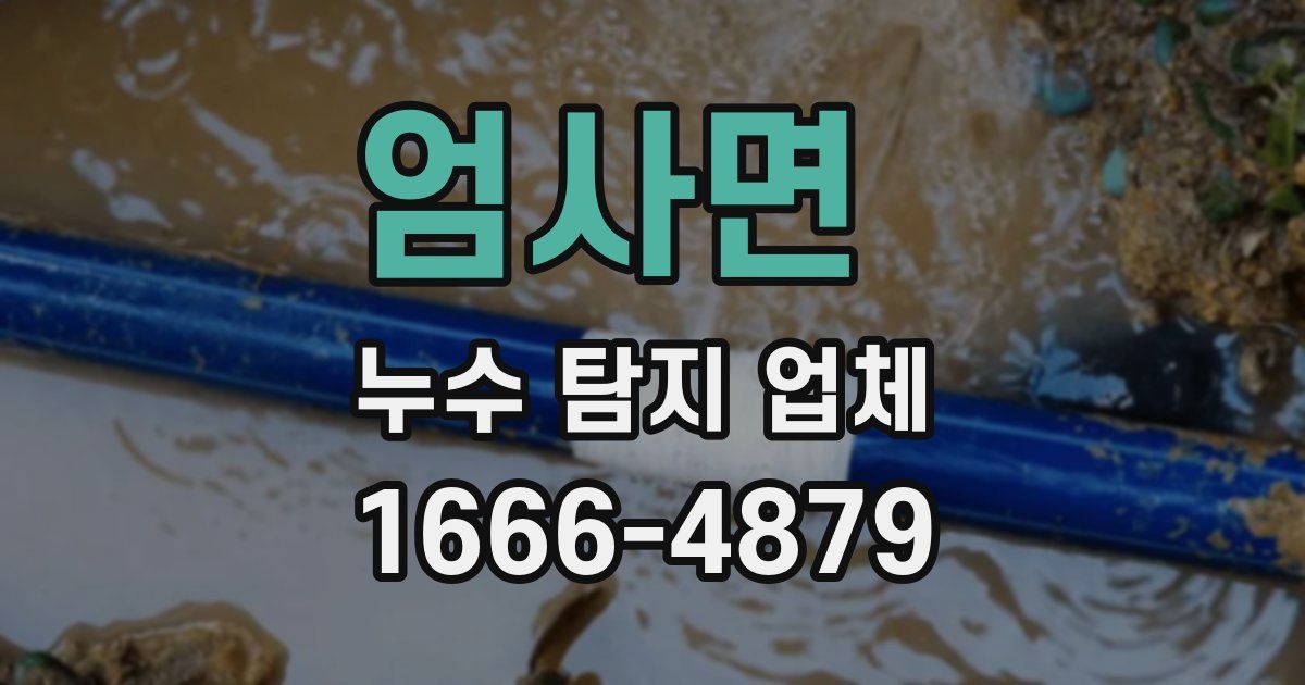 엄사면 누수 탐지 업체
