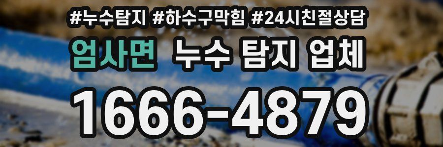 엄사면 누수 탐지 업체