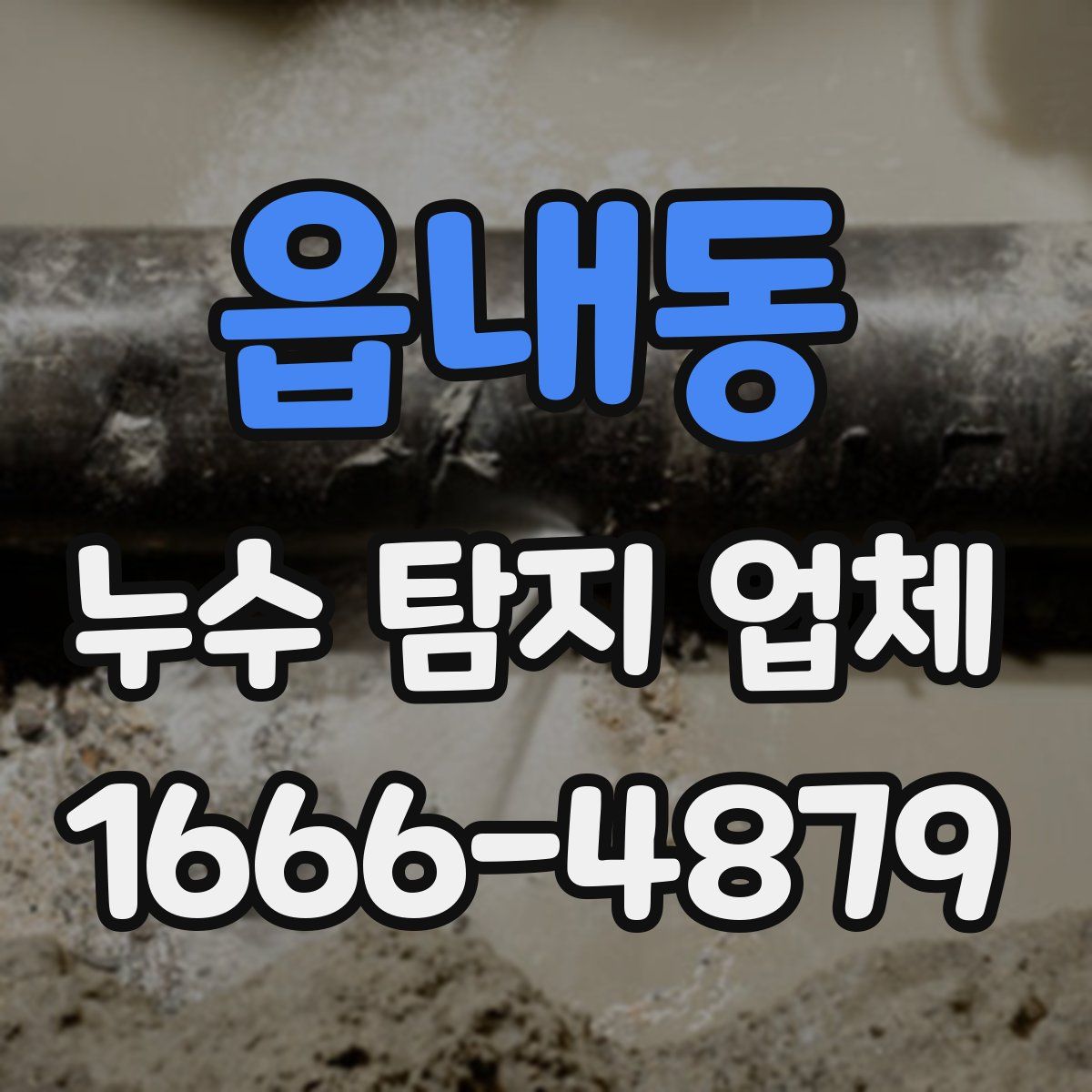 읍내동 누수 탐지 업체