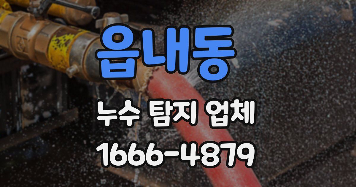읍내동 누수 탐지 업체