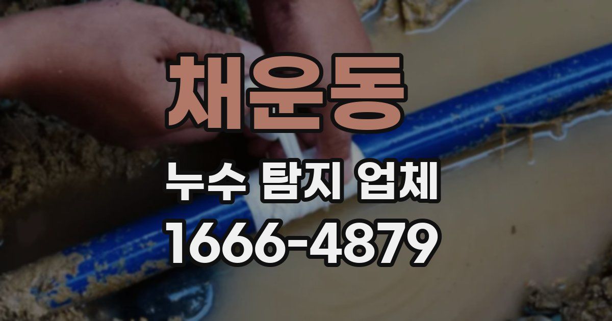 채운동 누수 탐지 업체
