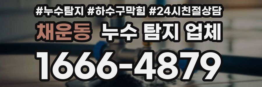 채운동 누수 탐지 업체