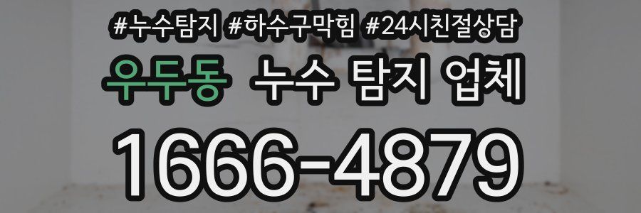 우두동 누수 탐지 업체