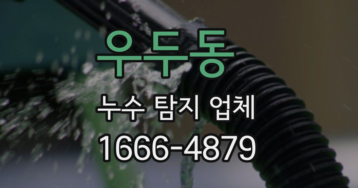 우두동 누수 탐지 업체