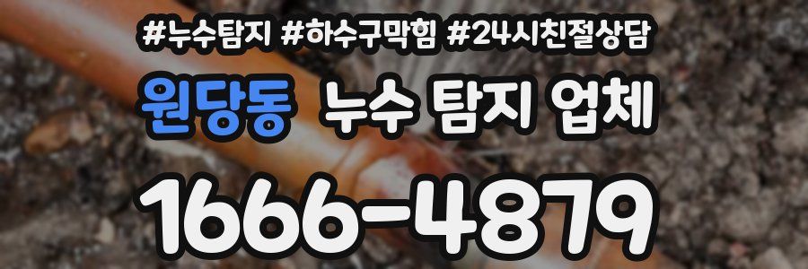 원당동 누수 탐지 업체