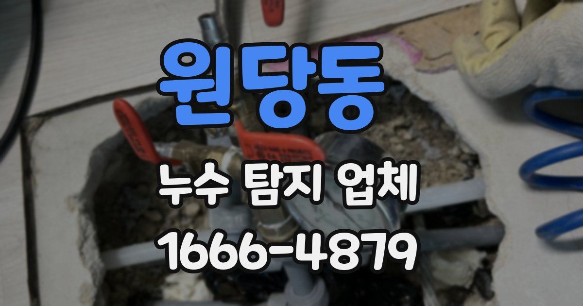 원당동 누수 탐지 업체