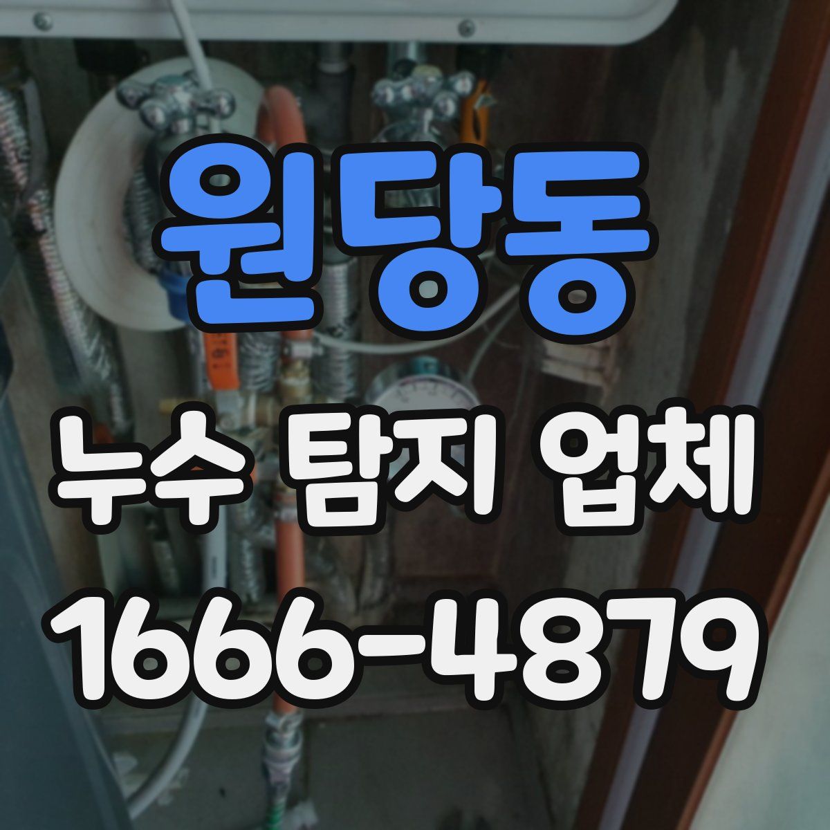 원당동 누수 탐지 업체