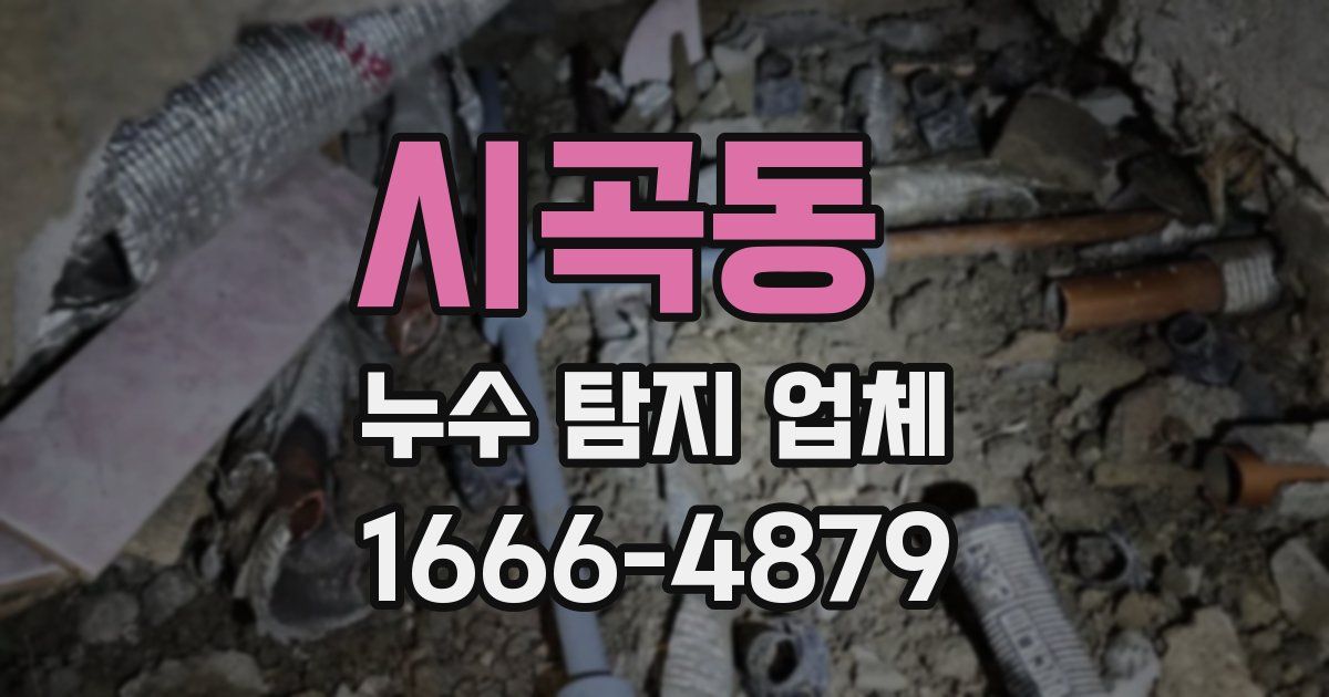 시곡동 누수 탐지 업체