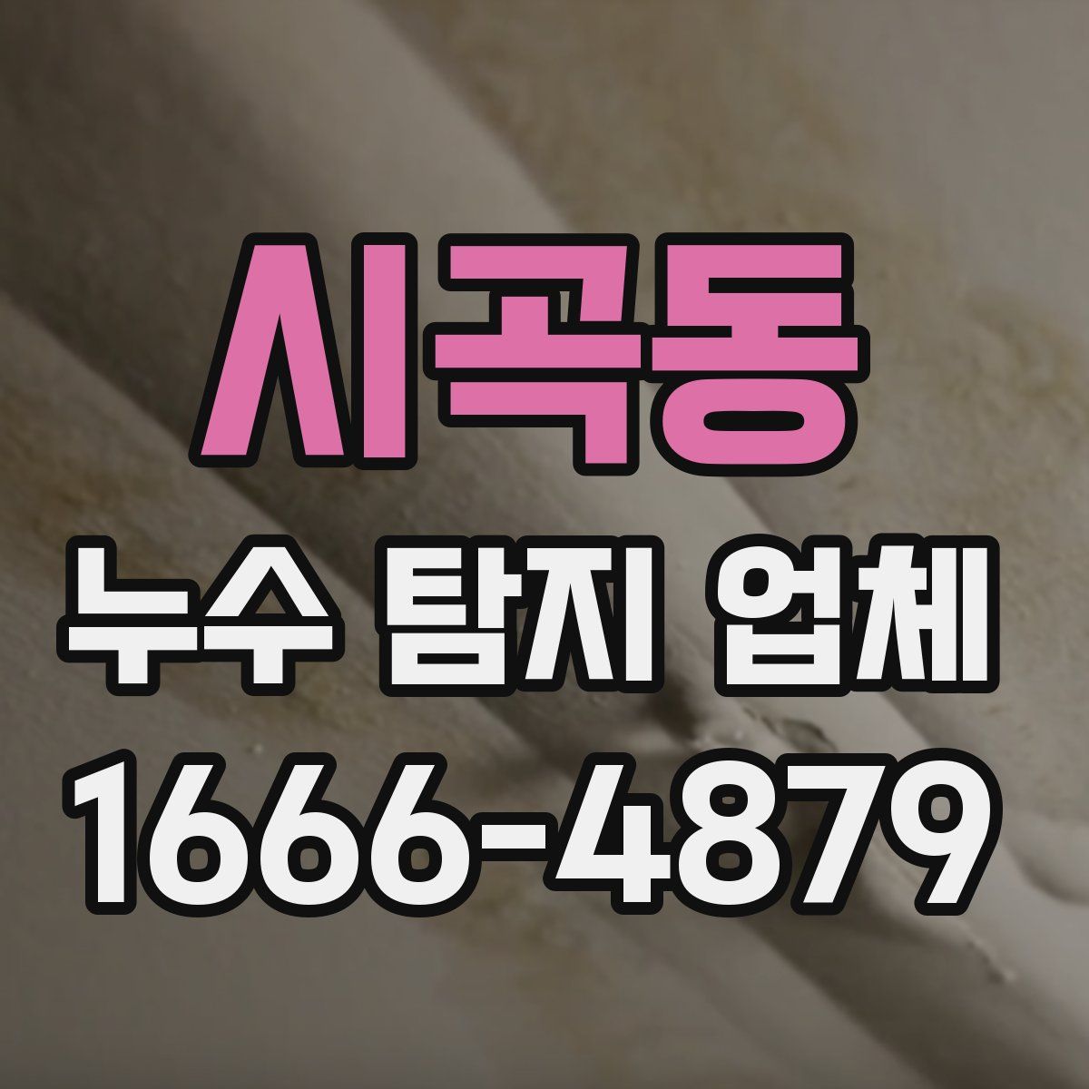 시곡동 누수 탐지 업체