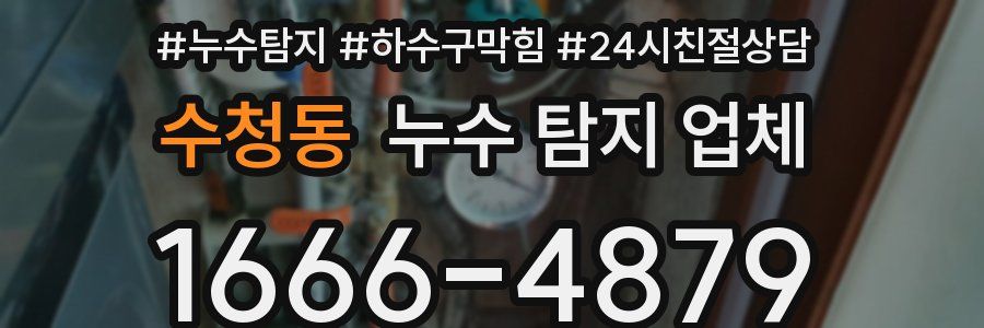 수청동 누수 탐지 업체