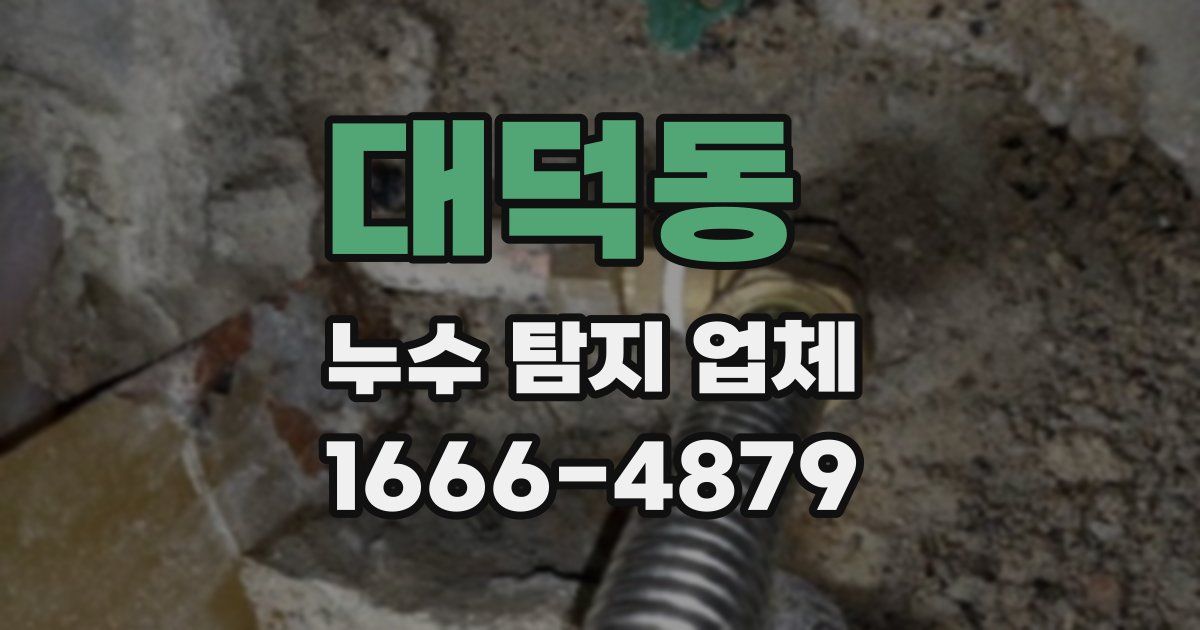 대덕동 누수 탐지 업체