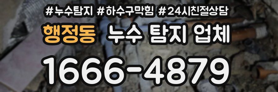 행정동 누수 탐지 업체