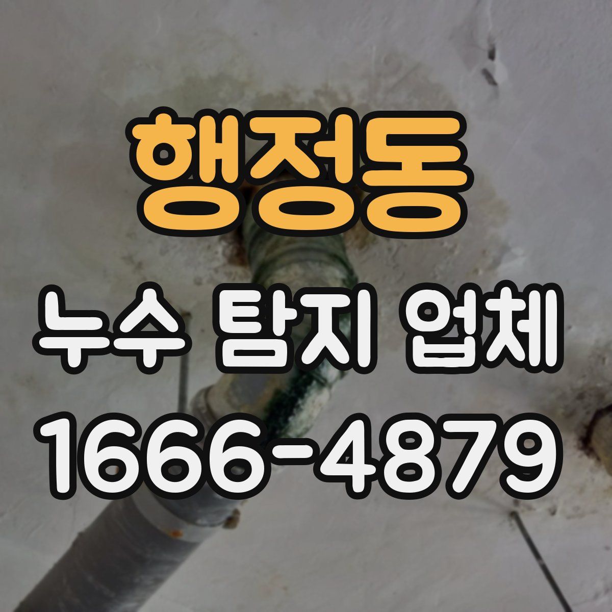 행정동 누수 탐지 업체