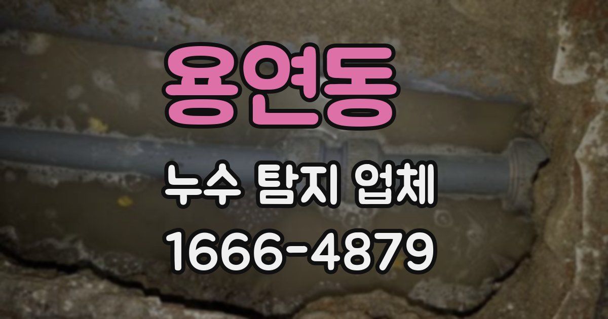 용연동 누수 탐지 업체