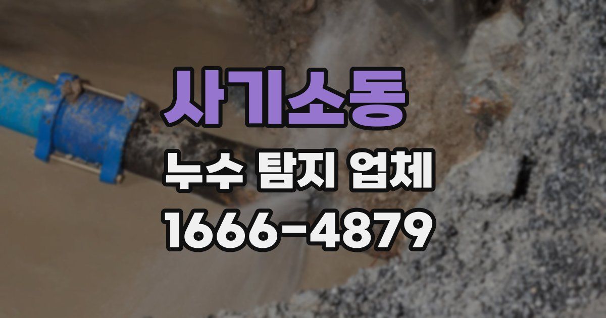 사기소동 누수 탐지 업체