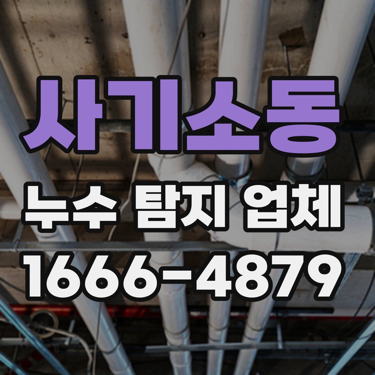 사기소동 누수 탐지 업체