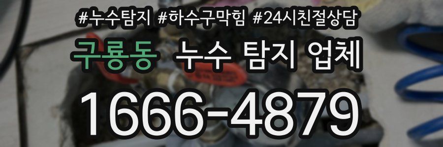 구룡동 누수 탐지 업체