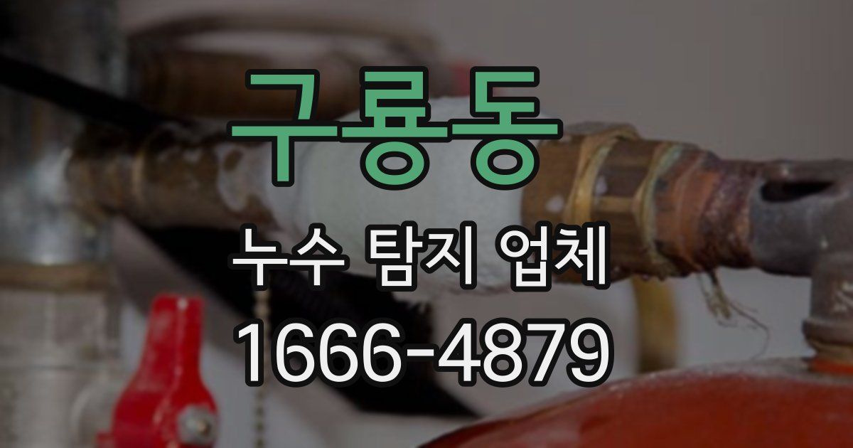 구룡동 누수 탐지 업체
