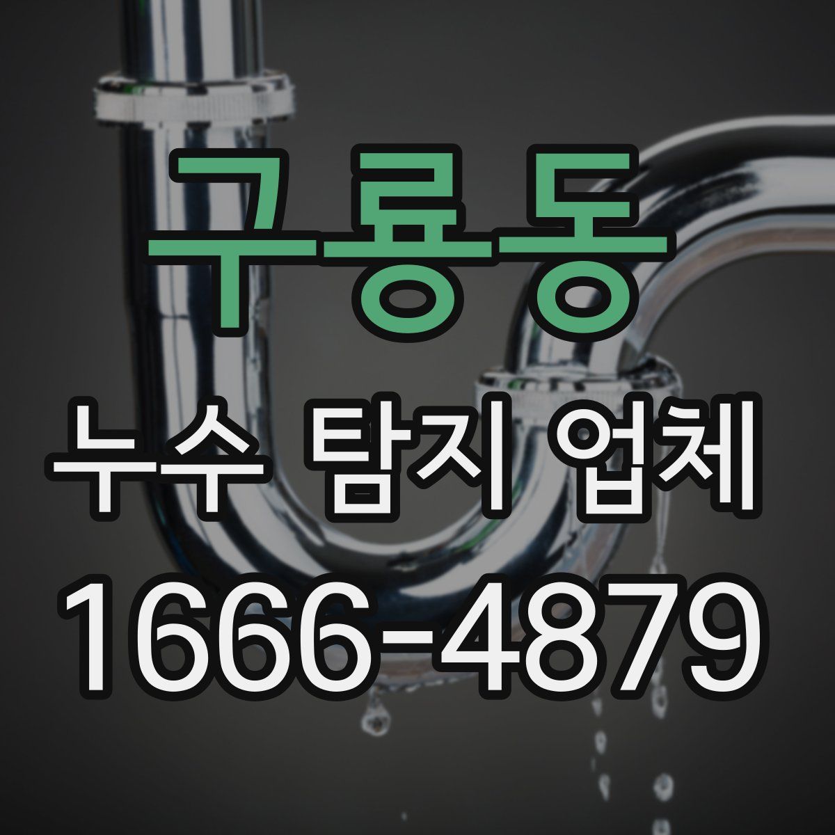 구룡동 누수 탐지 업체