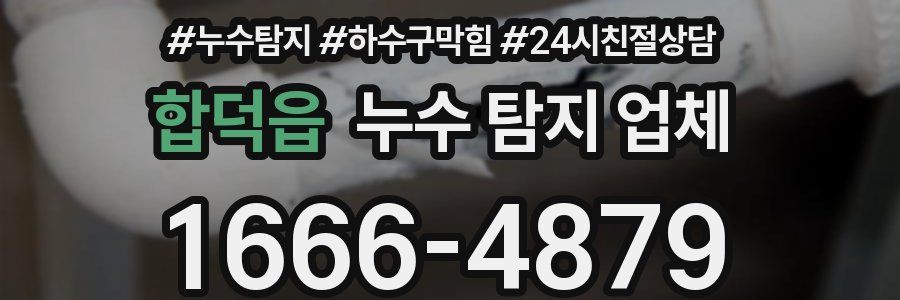합덕읍 누수 탐지 업체