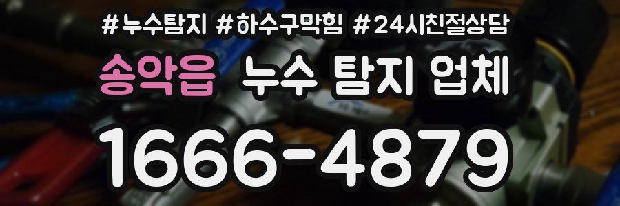 송악읍 누수 탐지 업체