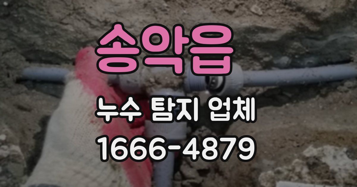 송악읍 누수 탐지 업체