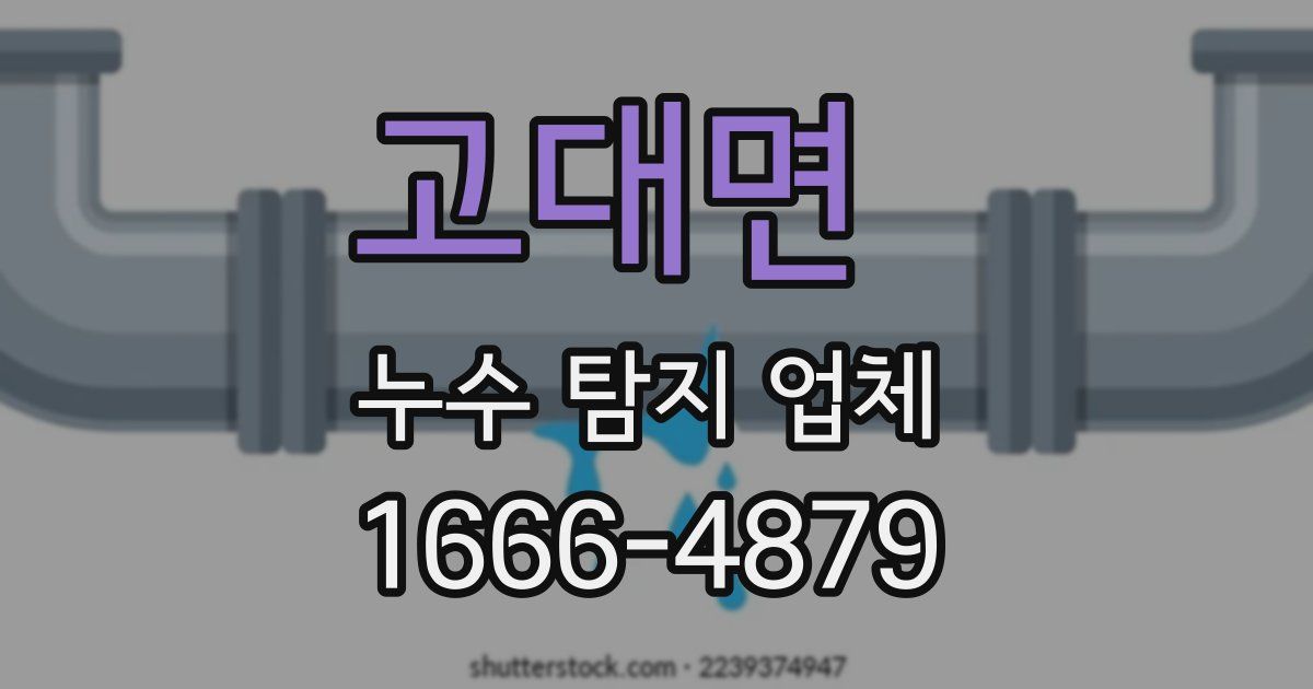 고대면 누수 탐지 업체