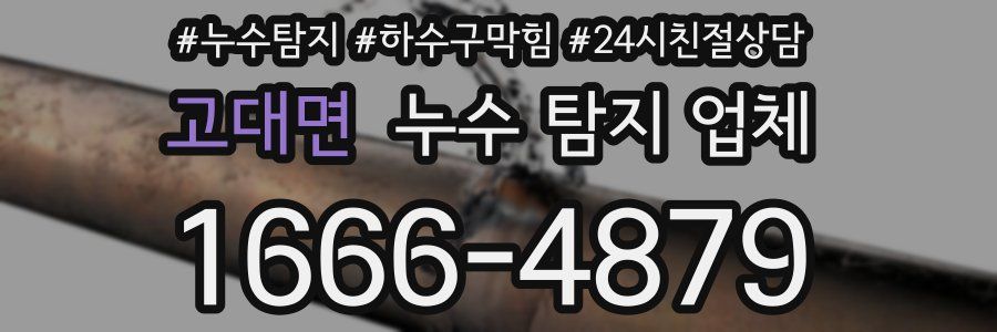 고대면 누수 탐지 업체